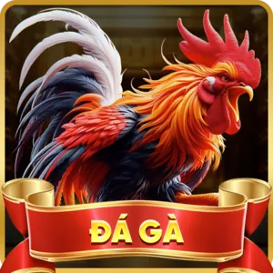 Đá Gà K9BET