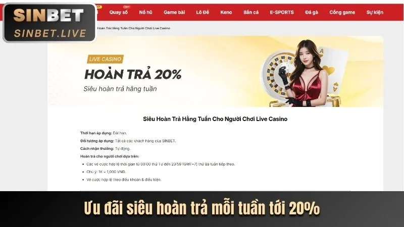 Hình ảnh tổng quan về Sinbet, một phần của K9BET Việt Nam, thể hiện sự sang trọng và đa dạng trò chơi cá cược trực tuyến